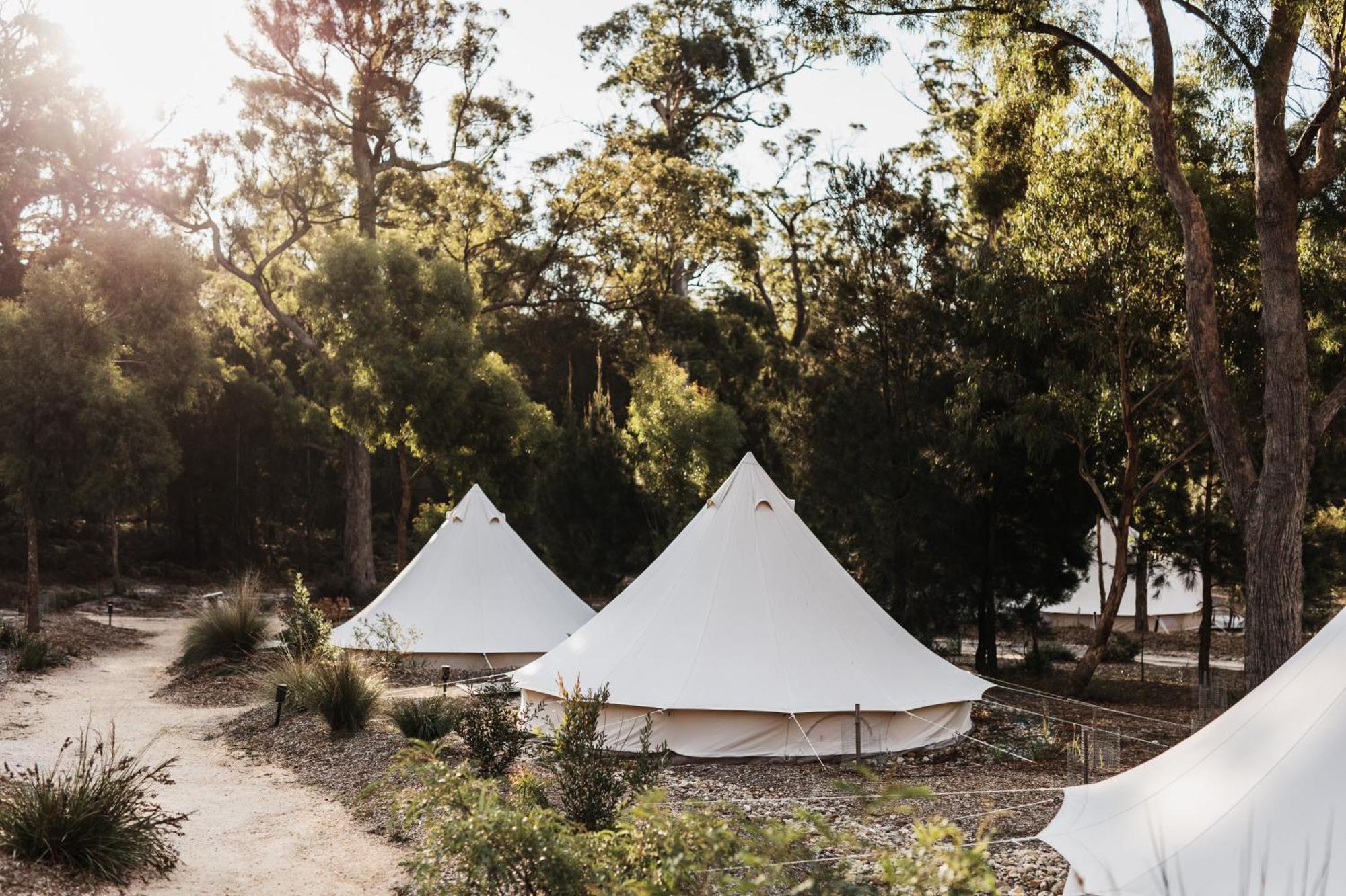 Bed and Breakfast Bay Of Fires Bush Retreat à Binalong Bay Extérieur photo