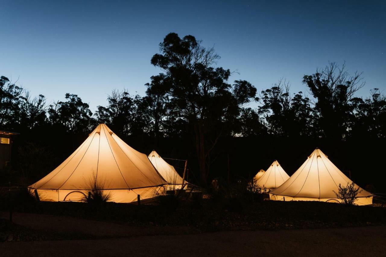 Bed and Breakfast Bay Of Fires Bush Retreat à Binalong Bay Extérieur photo